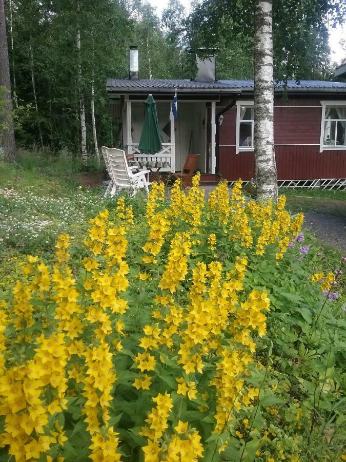Ilmastoitu Kesaemoekki Askolassa Laehellae Porvoota Exterior photo